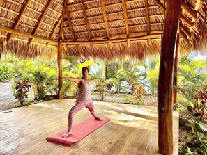 Property grounds - Beachside Property, Pool,  Sleeps 28, Surfers Dream, 100 steps to the Beach.  (Guanacaste Province)