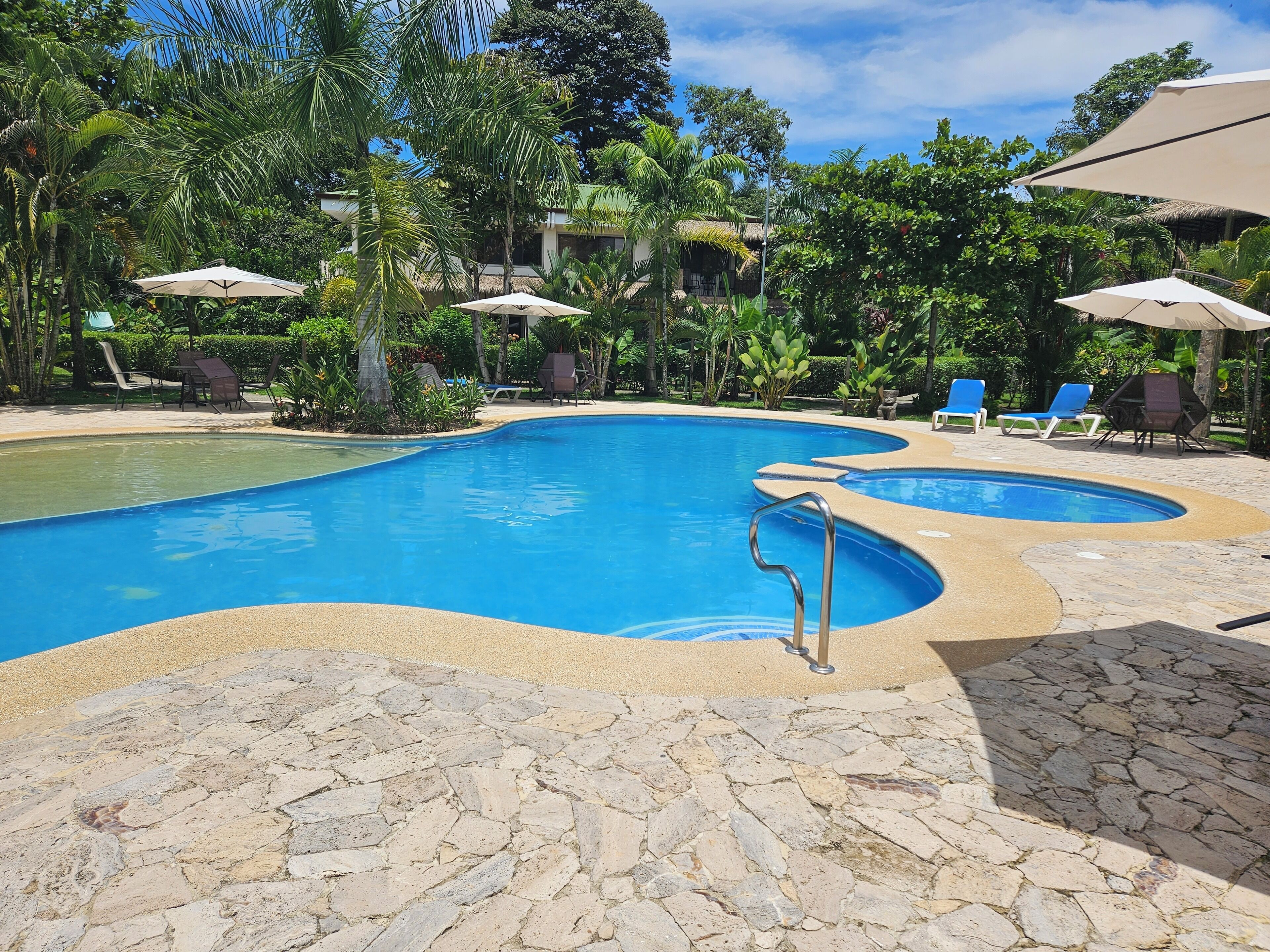 A pool area with lounge chairs and umbrellas, surrounded by lush greenery.