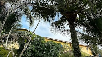 Piscina externa