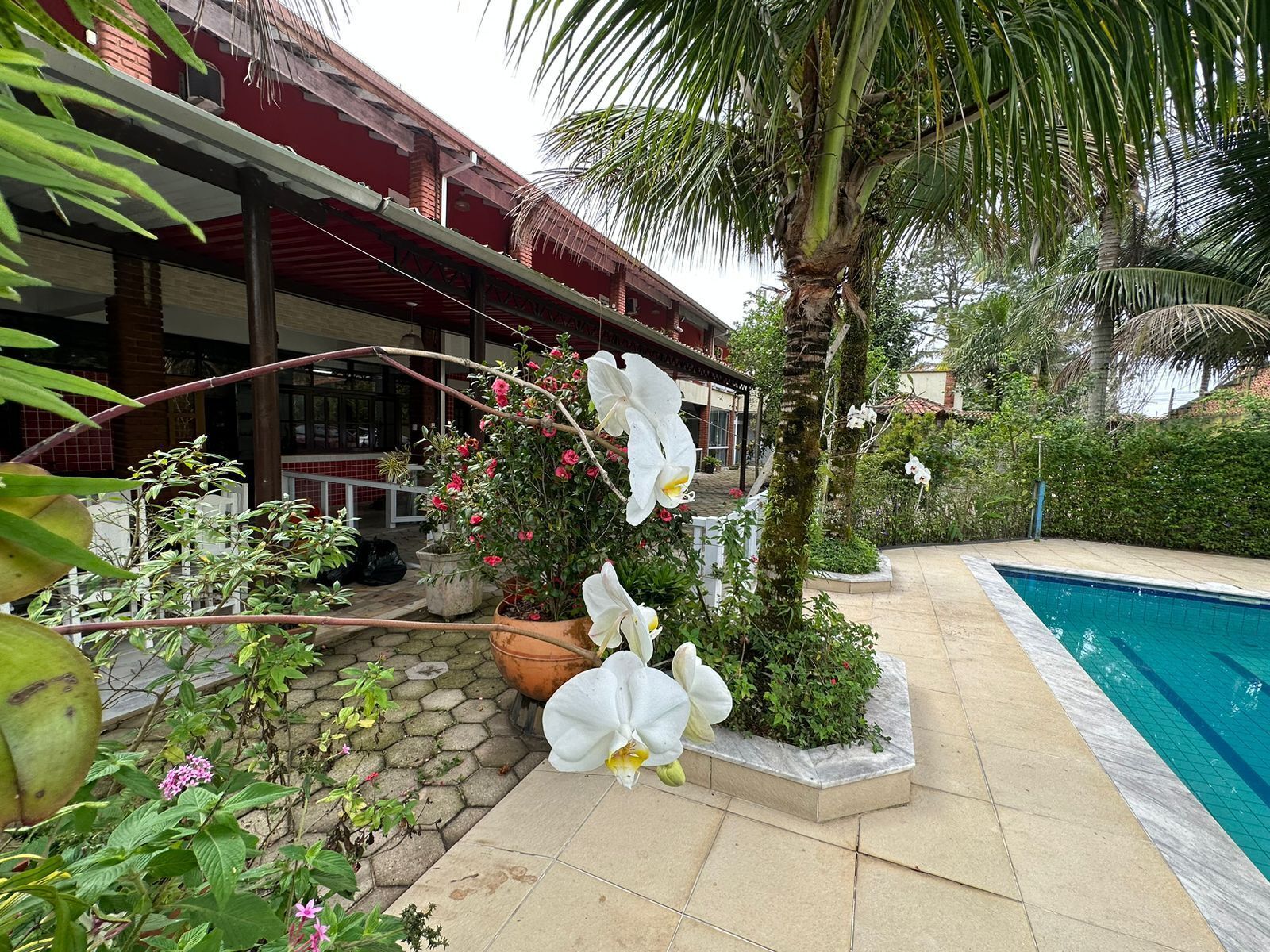 حمّام سباحة خارجي