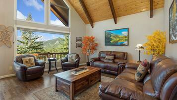 Televisión, chimenea, videojuegos y reproductor de DVD