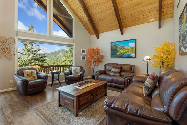 TV, fireplace, video games, DVD player