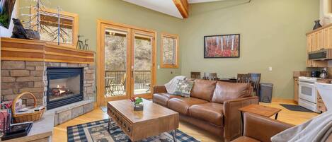 TV, fireplace, DVD player, books