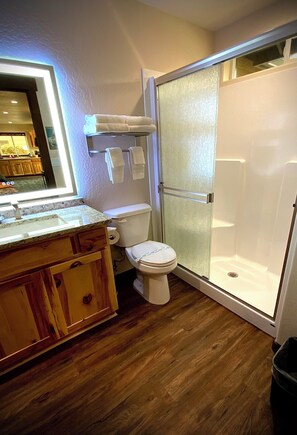 Sèche-cheveux, serviettes fournies, savon, papier toilette