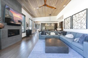 TV, fireplace, books, stereo