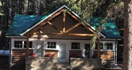 Luxurious Cabin Deep in the Bighorn Mountains