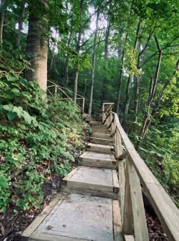A wooden staircase in a forested area with railings on both sides.