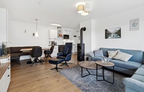 Smart TV, fireplace - GebirgsResort Winterberg (Winterberg)