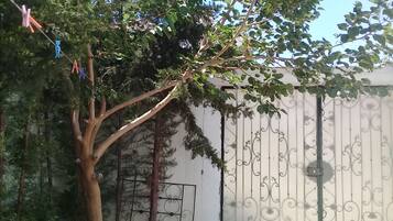 Detalle del exterior