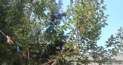 Maison a Louer a la Grotte Bizerte