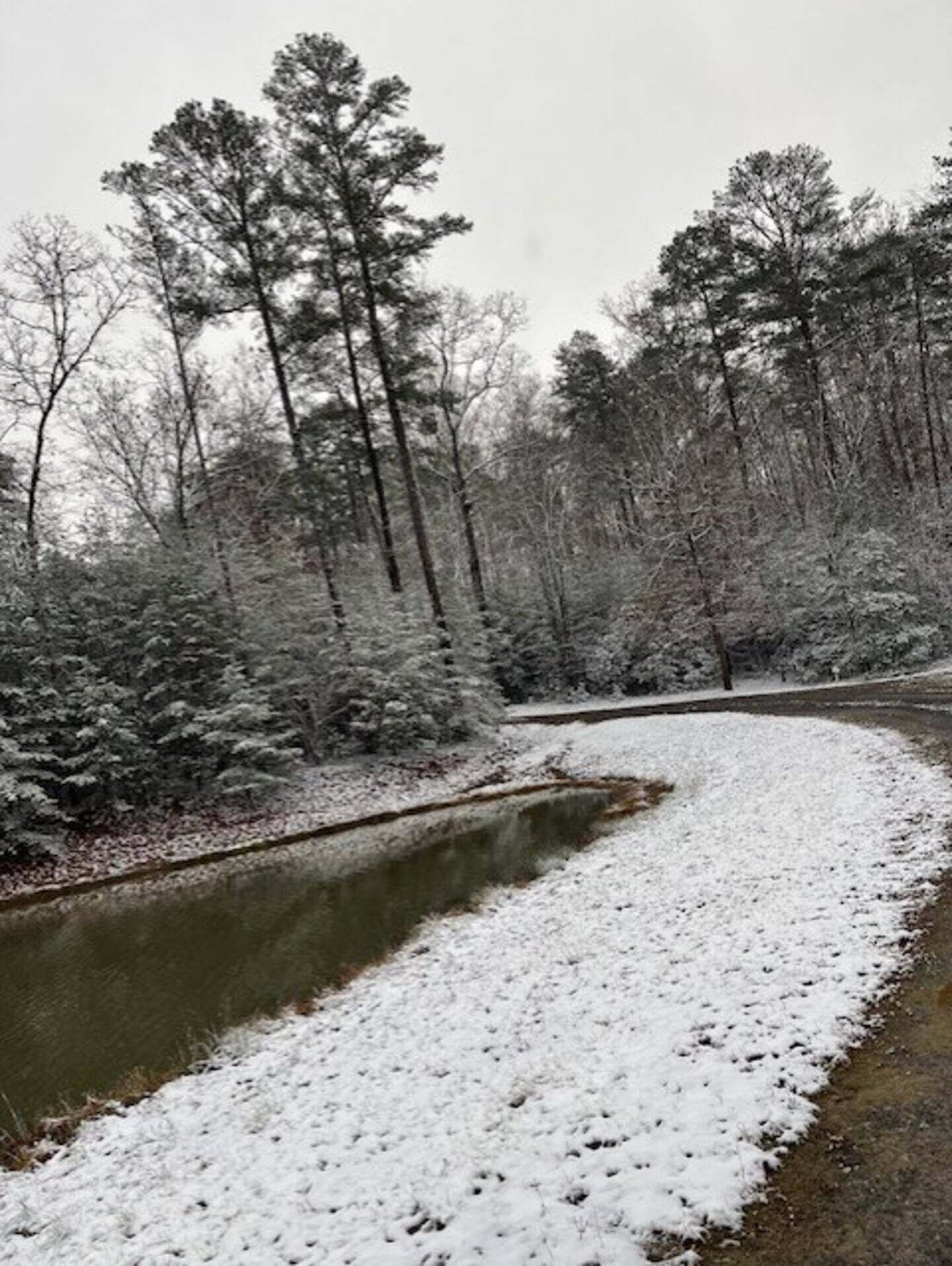 A snow-covered landscape with a curved path and dense trees.