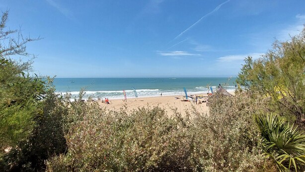 A beach with a clear view of the ocean and a sandy shore.