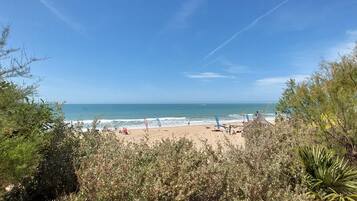Une plage offrant une vue dégagée sur l’océan et bordée d’un rivage sablonneux.