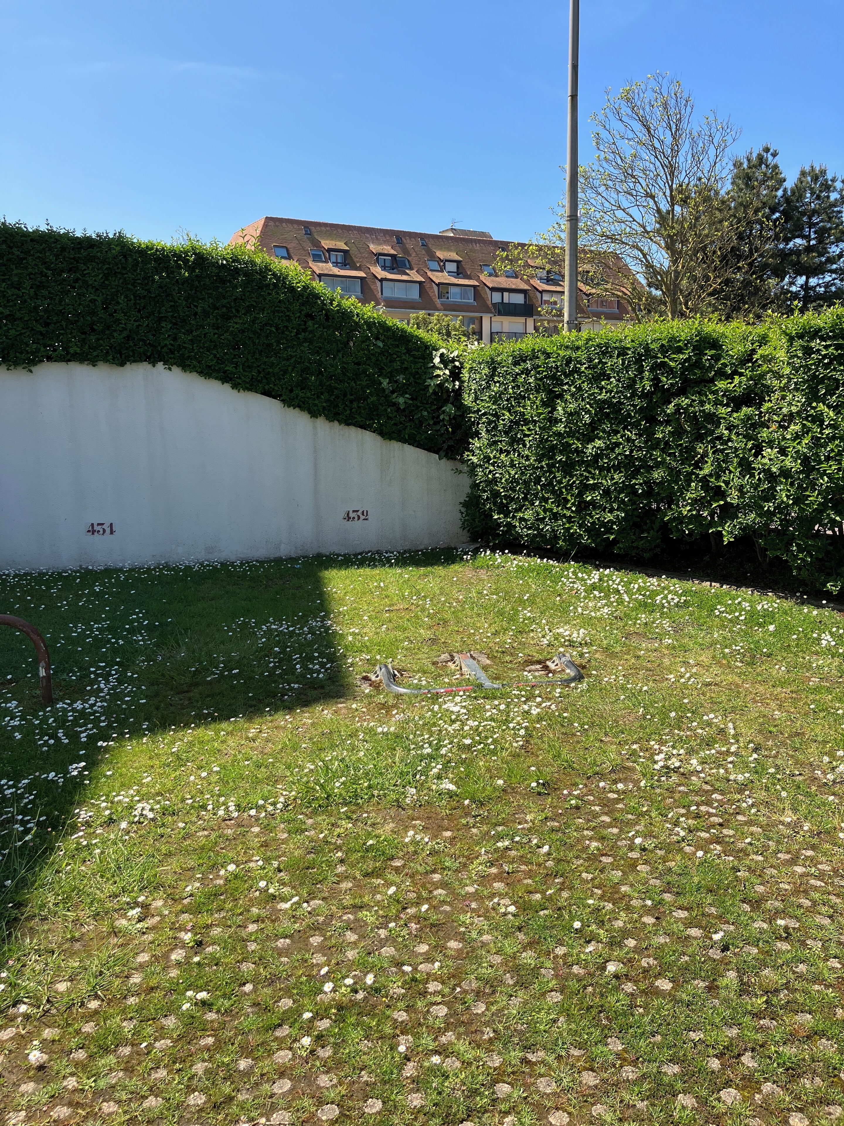 A grassy area with a white wall and hedge, and a building in the background.