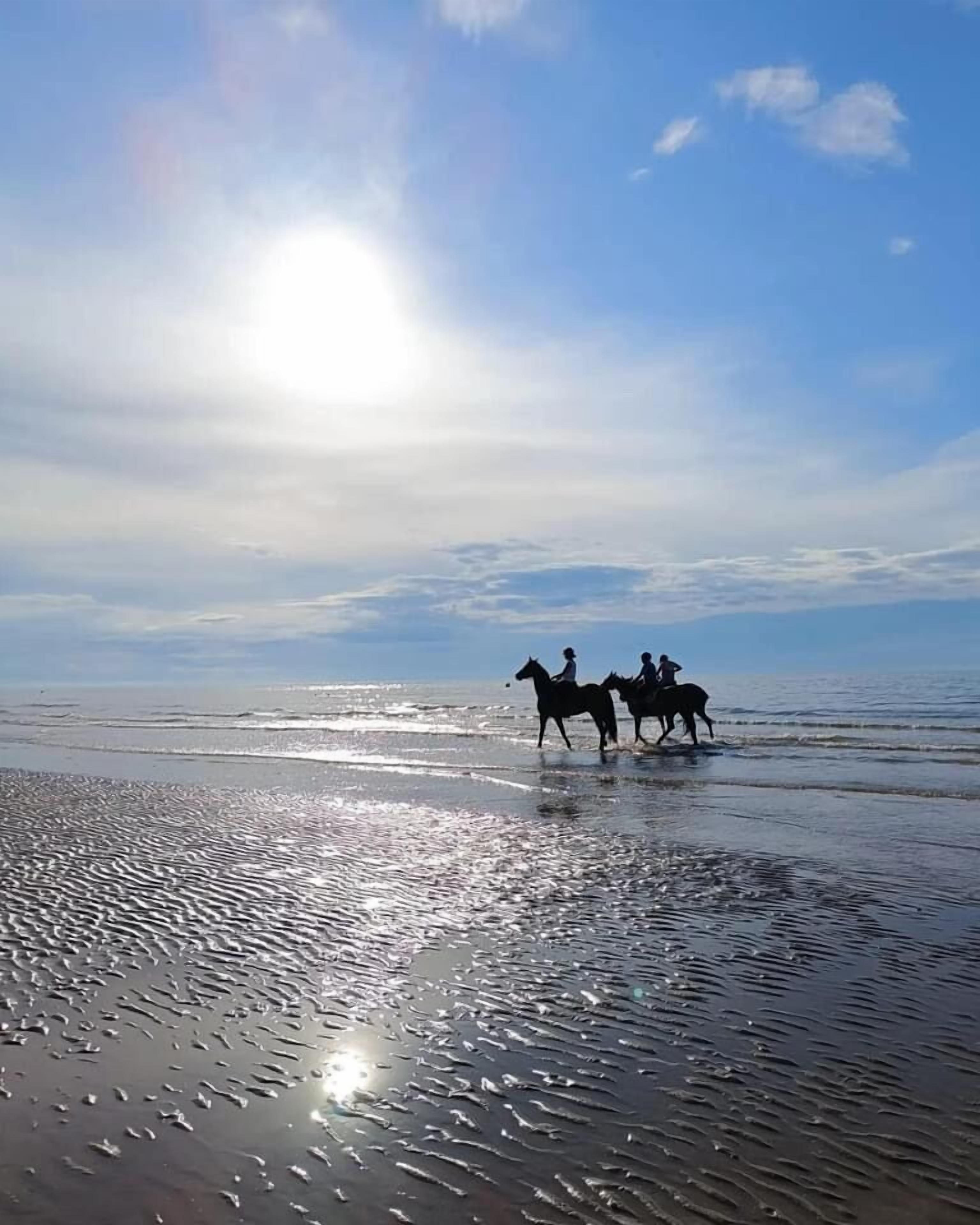 A beach scene with three people riding horses along the shoreline.