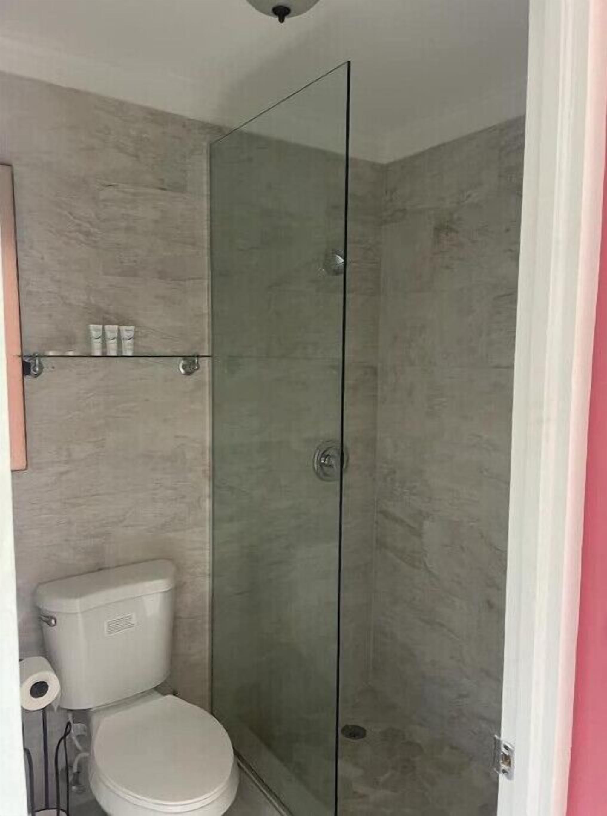 Une salle de bain avec une douche à parois de verre, des toilettes et une étagère contenant des articles de toilette.