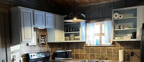 Microwave, oven, stovetop, dishwasher