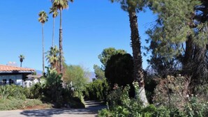 A pathway leading to a building with a tiled roof, surrounded by tall palm trees and dense shrubbery. - Mountain View Studio (Hemet)