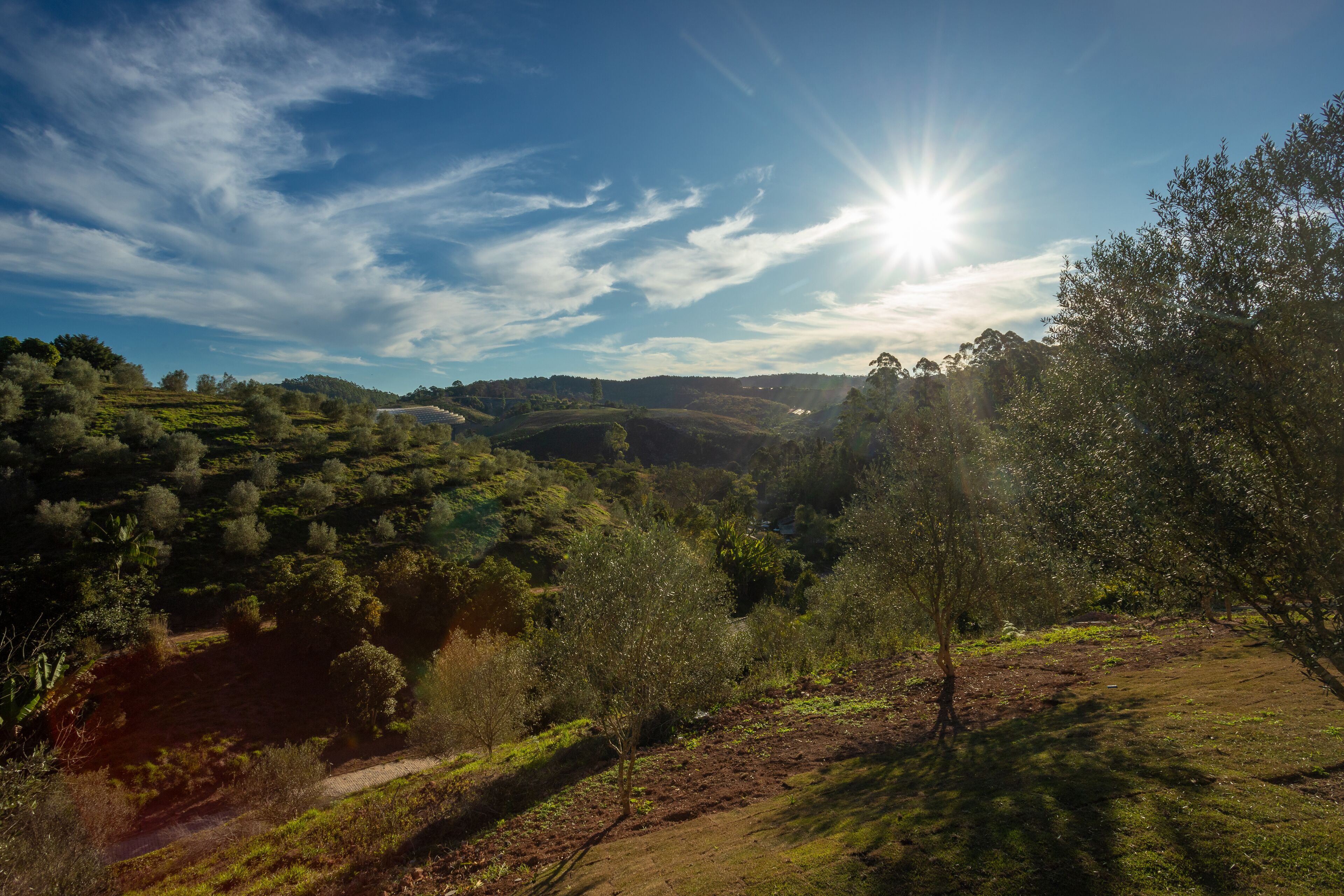 Paisagem com céu claro, sol brilhando e terreno acidentado com árvores.
