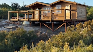 Een houten hut met een terras, gebouwd op palen, omgeven door dichte begroeiing.