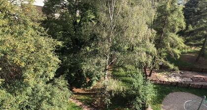 Newly remodeled, sunny apartment in Prague- excellent location