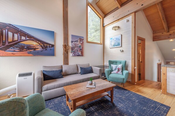 TV, fireplace, books, stereo