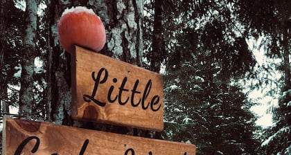 Cozy & Private next to nature & nearby Spider Lake Provincial Park.