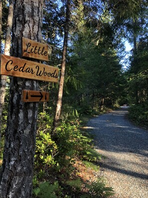 Un panneau indicateur en bois indiquant la direction vers « Little Cedar Woods ».