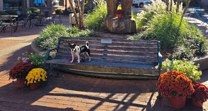 Fully-Furnished, Pet-Friendly, 3 bedroom. Fenced backyard. Close to everything!
