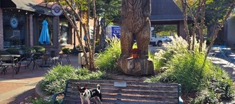 Fully-Furnished, Pet-Friendly, 3 bedroom. Fenced backyard. Close to everything!