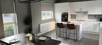 Brand New Luxurious and Modern Family House