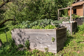 Overnatningsstedets område