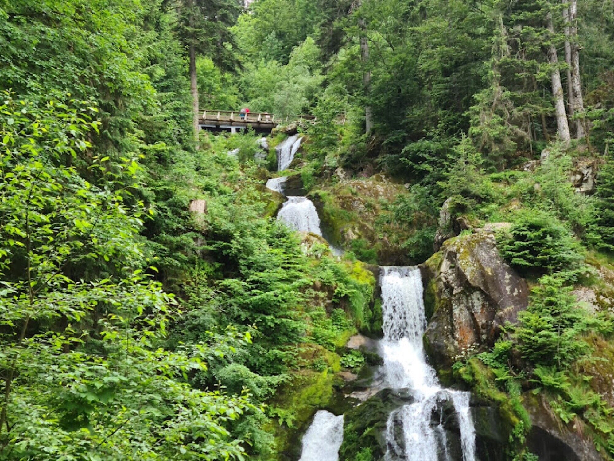 Une cascade se déversant le long d’une falaise rocheuse, entourée d’une forêt verdoyante et luxuriante.