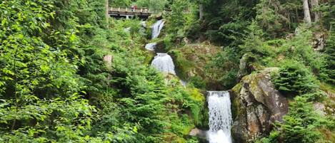 Une cascade se déversant le long d’une falaise rocheuse, entourée d’une forêt verdoyante et luxuriante.