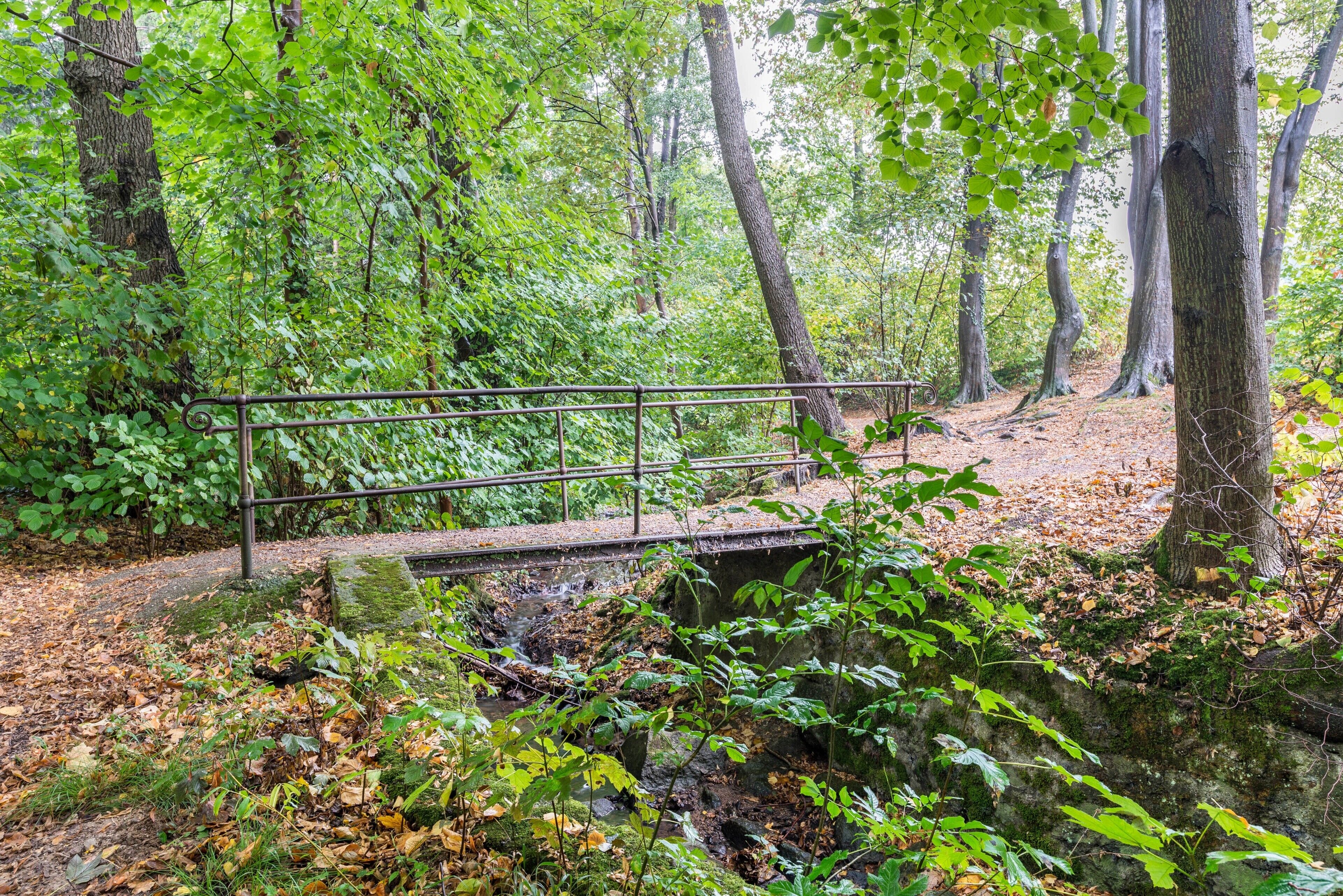 A wooden bridge over a stream in a forested area with a metal railing.