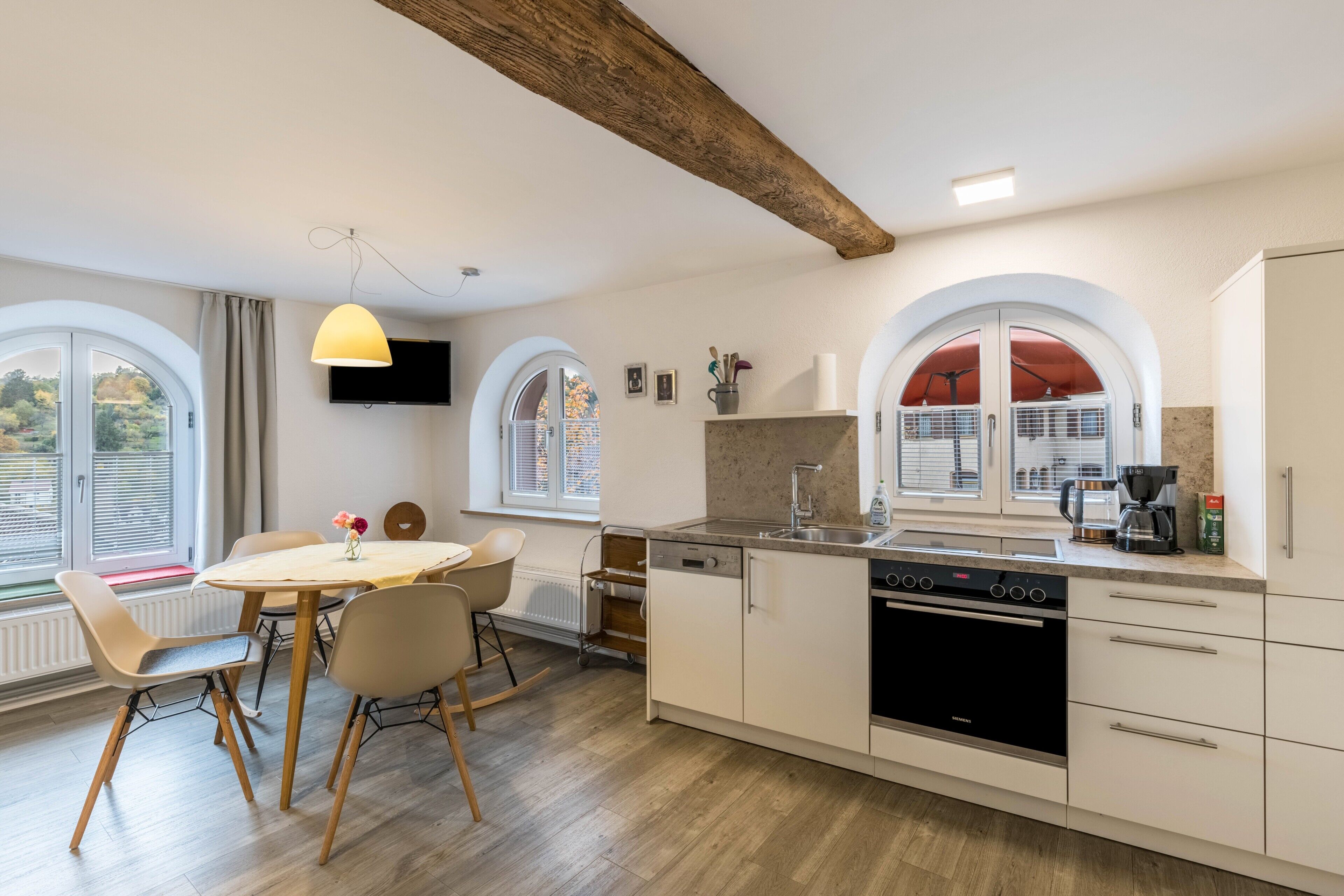 Kühlschrank, Ofen, Herdplatte, Geschirrspüler