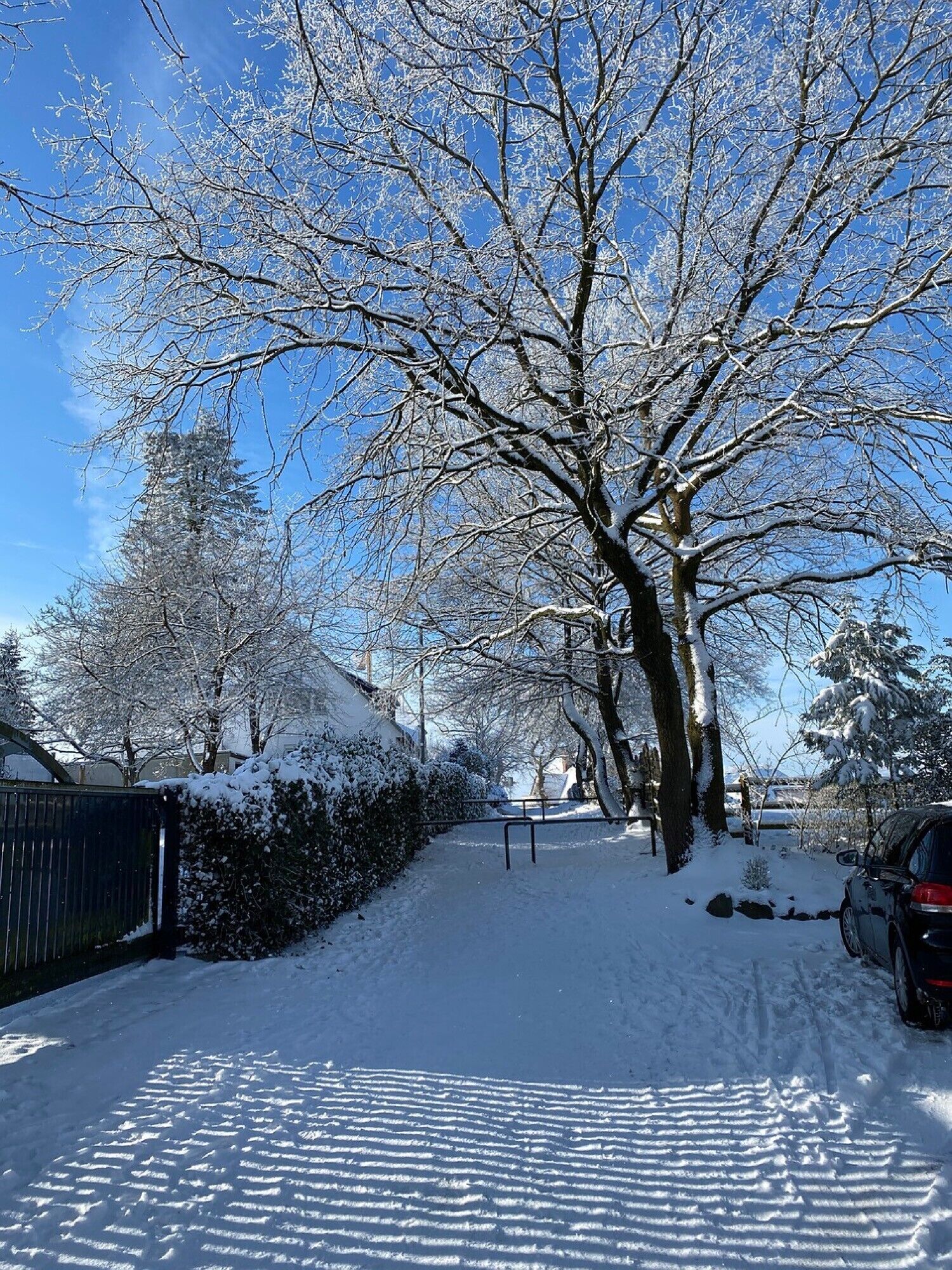 Parco della struttura