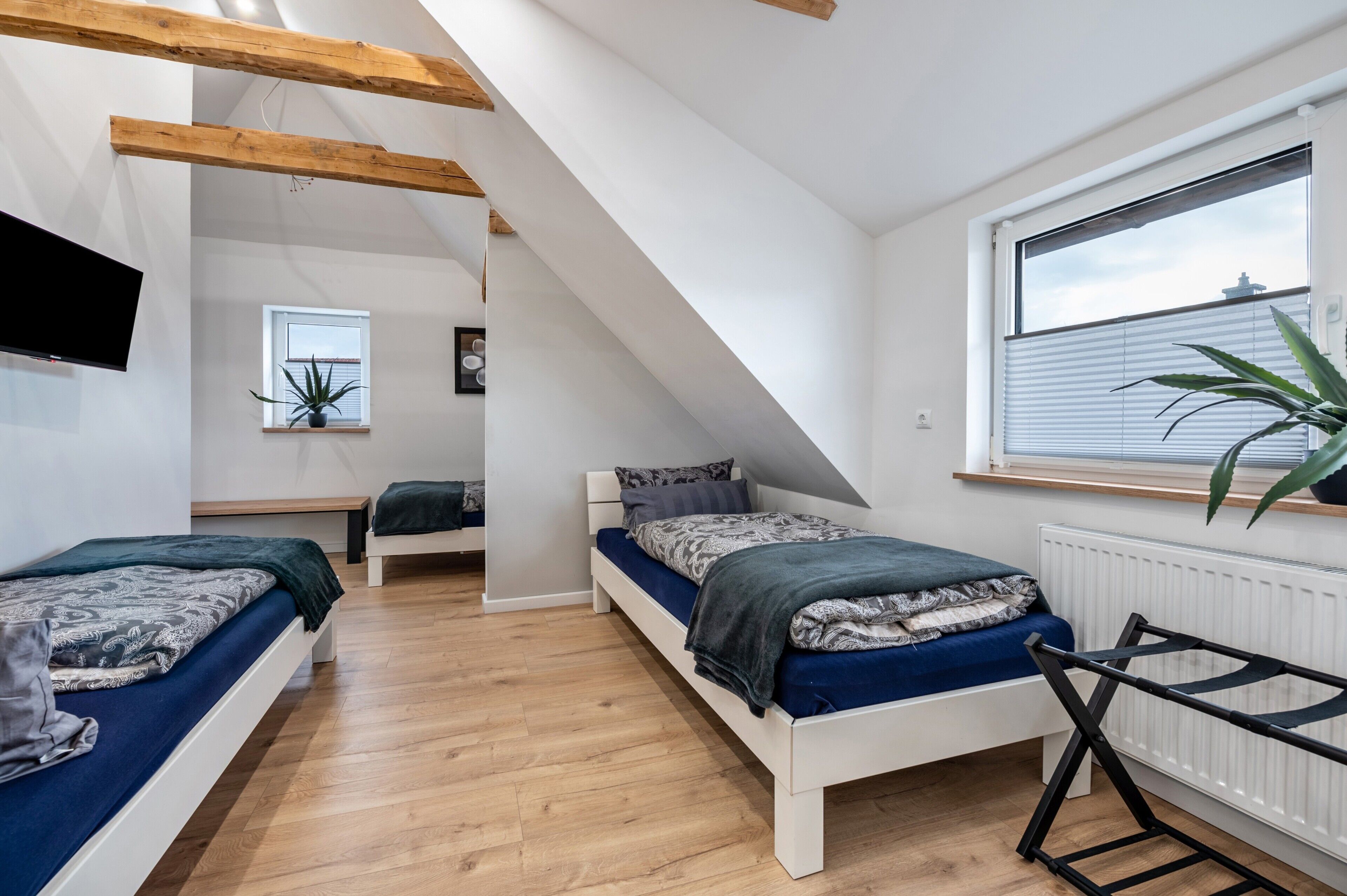 Une chambre avec deux lits, une fenêtre, un radiateur et une plante.
