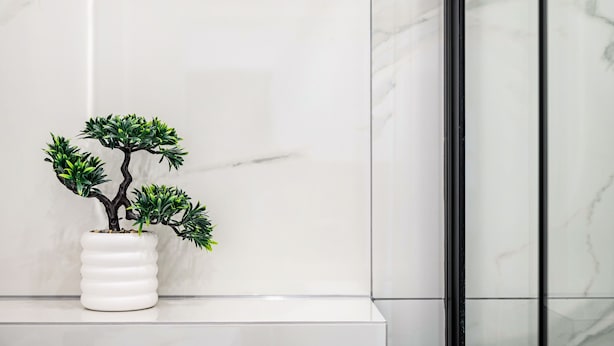 Una pared de mármol blanco con una planta en maceta blanca.