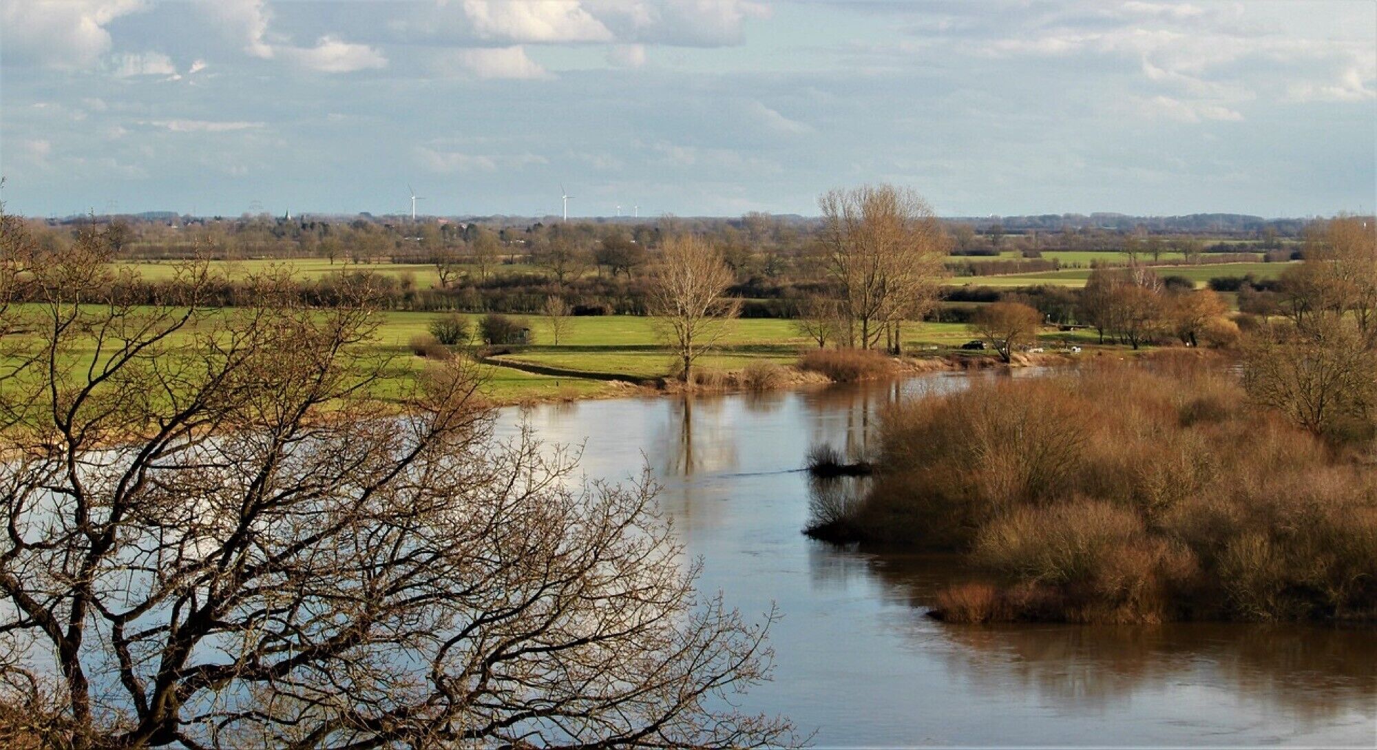 Ein Fluss mit Bäumen im Vordergrund, eine grüne Wiese und Windkraftanlagen in der Ferne.