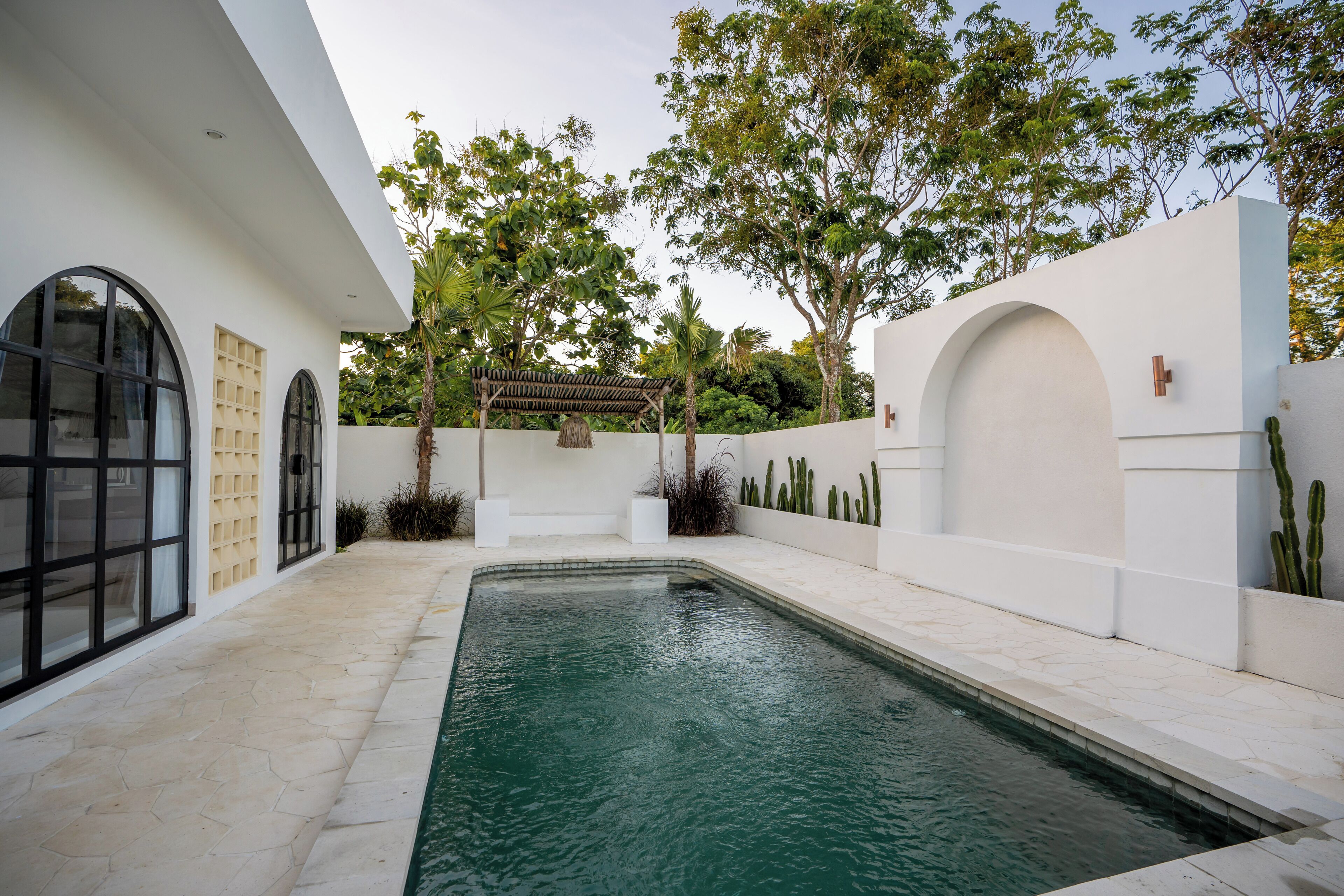 A swimming pool with a white exterior, surrounded by cacti and trees.