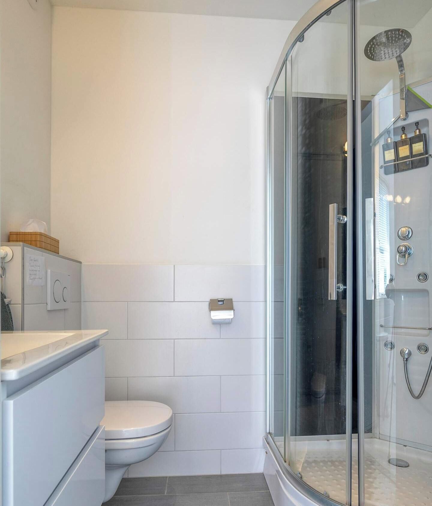 Shower, hair dryer