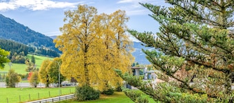 Cosy apartment close to the ski lift