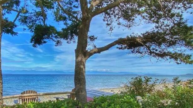 A coastal view with a tree, a wooden chair, and a beach in the background. - Sit Back & Watch Waves at Rathtrevor Cottage (Parksville)