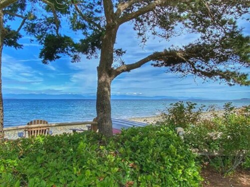 Sit Back & Watch Waves at Rathtrevor Cottage