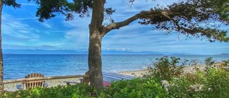 在海灘附近
