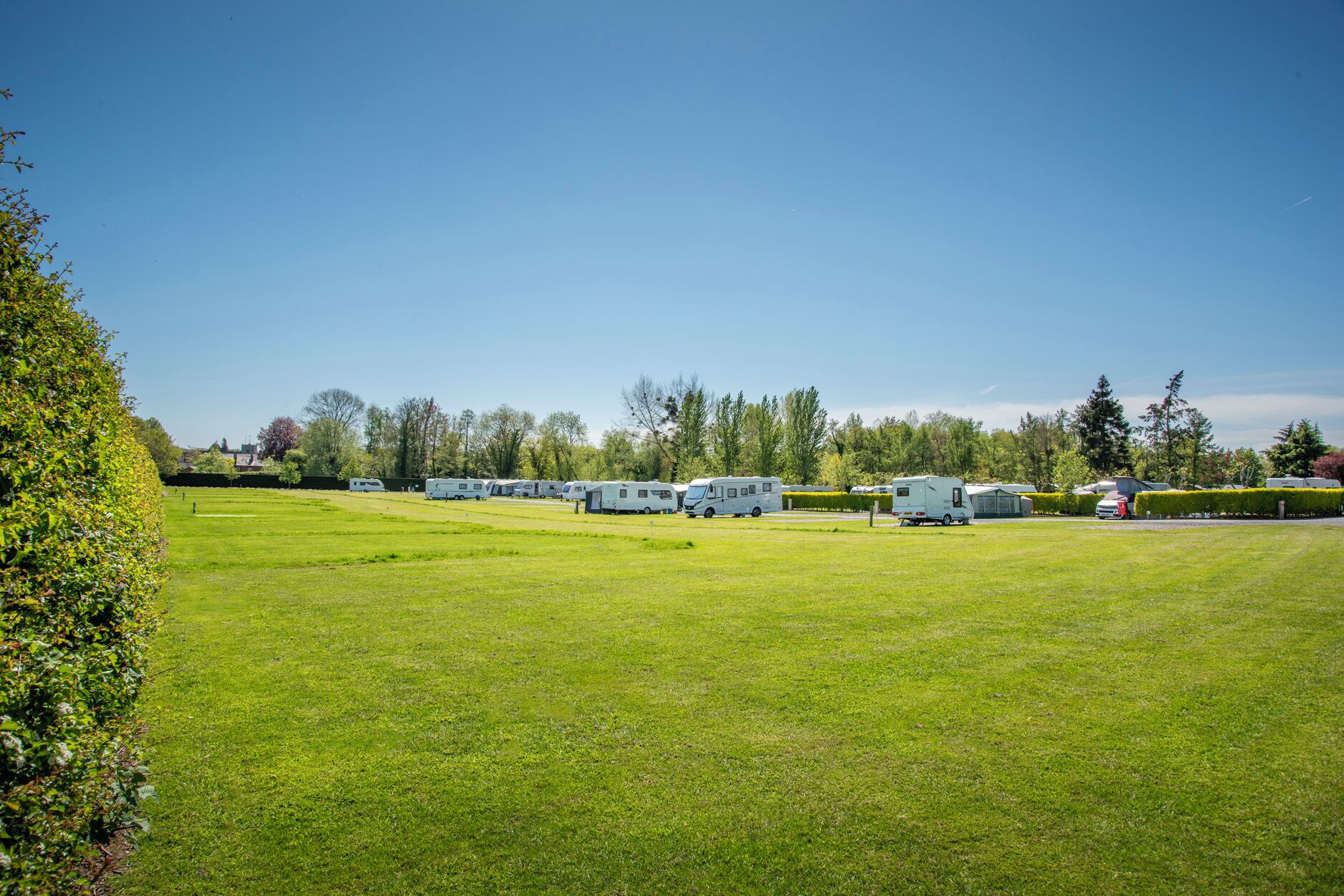 Un terrain de camping où plusieurs camping-cars sont stationnés sur un champ verdoyant bien entretenu.