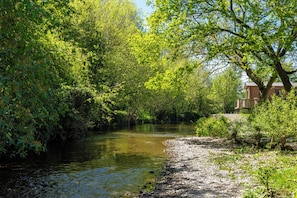 A riverbank with dense greenery and a building with a red roof. - Daffodil (Leominster)