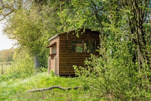 Una pequeña cabaña de madera rodeada de abundante vegetación.
