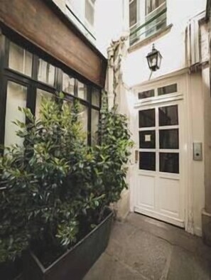 A narrow alleyway with a white door and a small window. There is a planter with green foliage to the left.